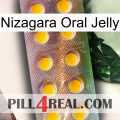 Nizagara Oral Jelly new11